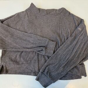 Alo Yoga Women's Cropped Hoodie ...
Size Large Gray Long Sleeve